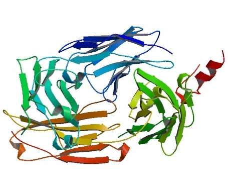 Rituximab лекува автоимунни заболявания и рак
